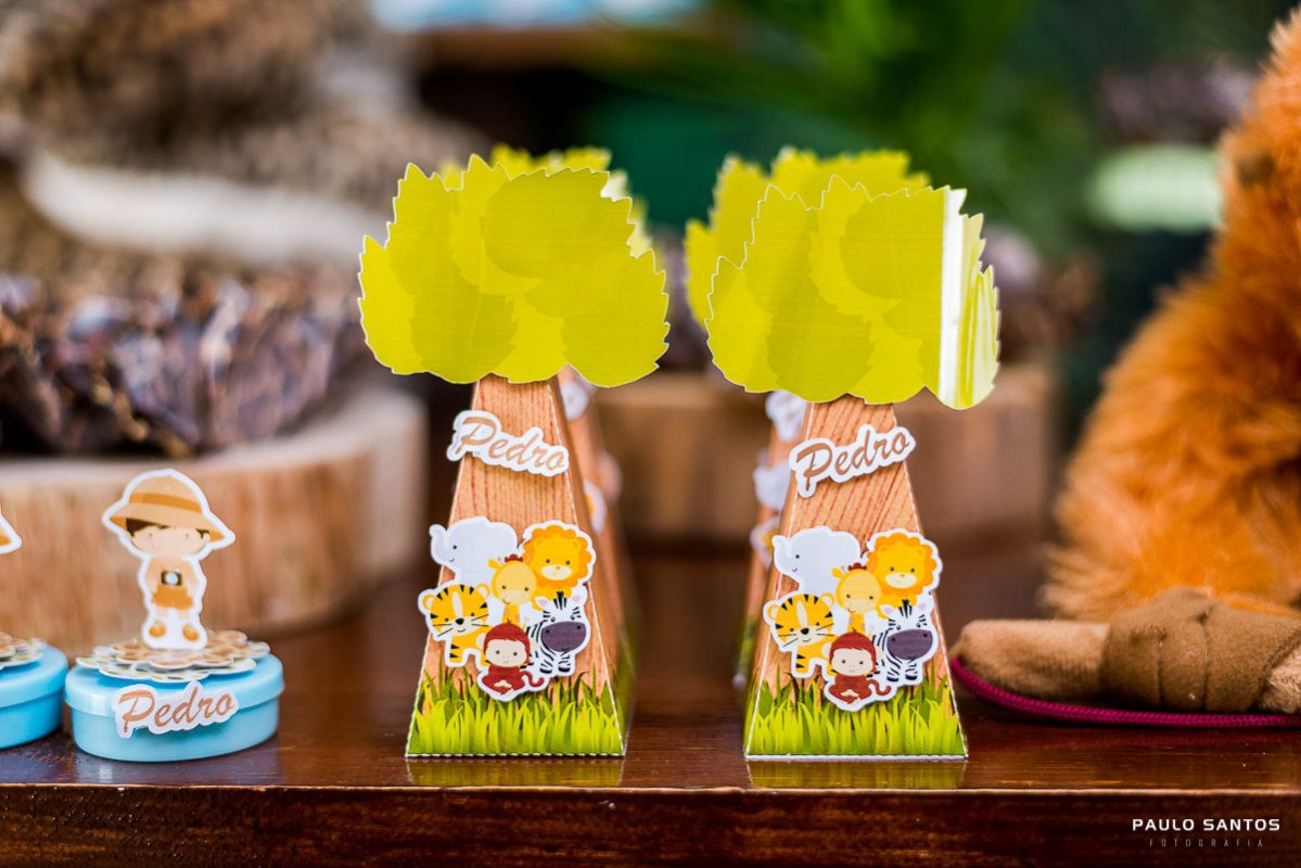 Paulo Santos Fotografia