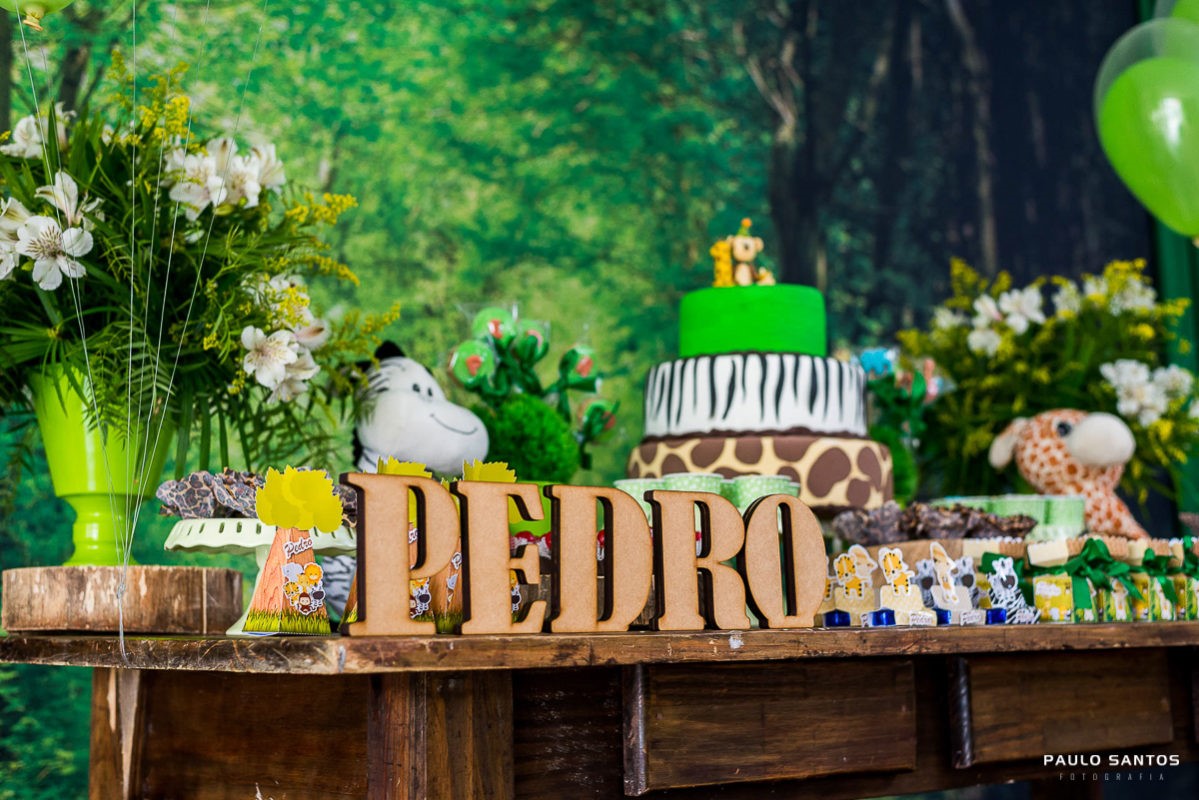 Paulo Santos Fotografia