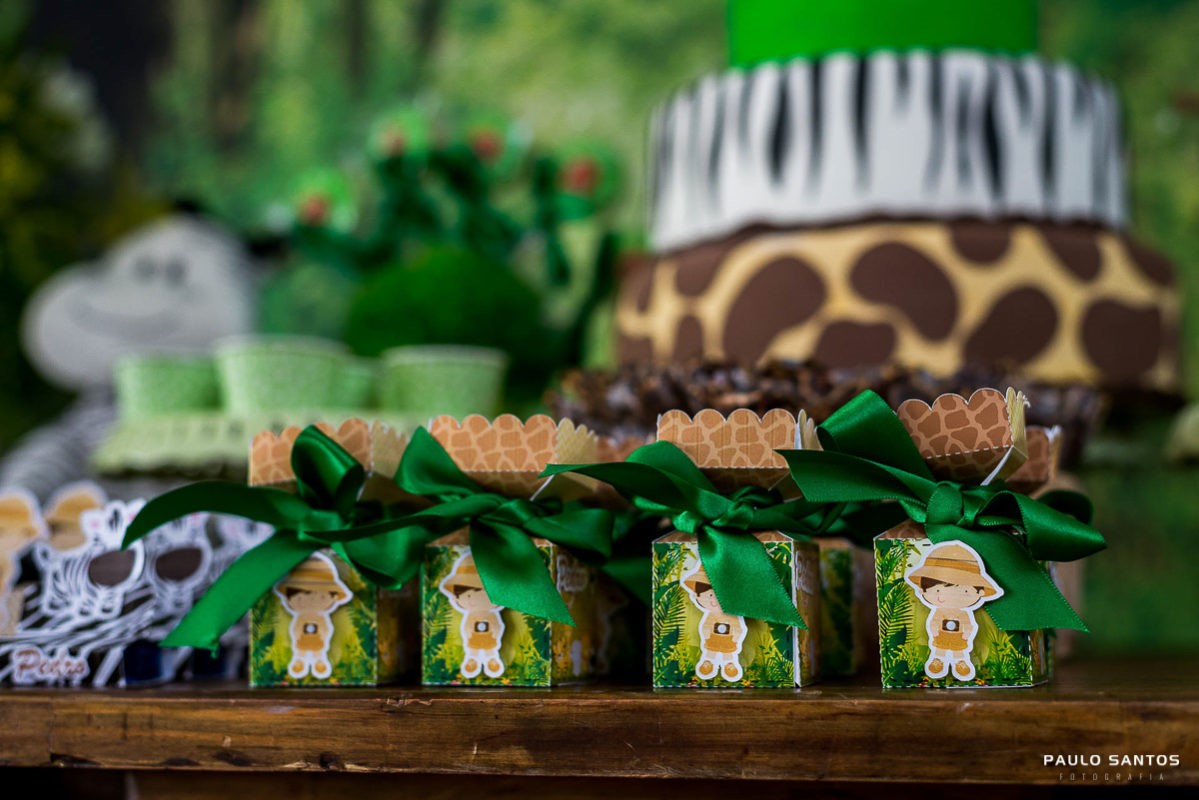 Paulo Santos Fotografia