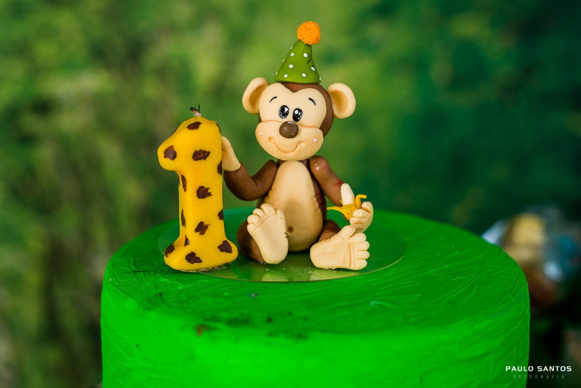 Paulo Santos Fotografia