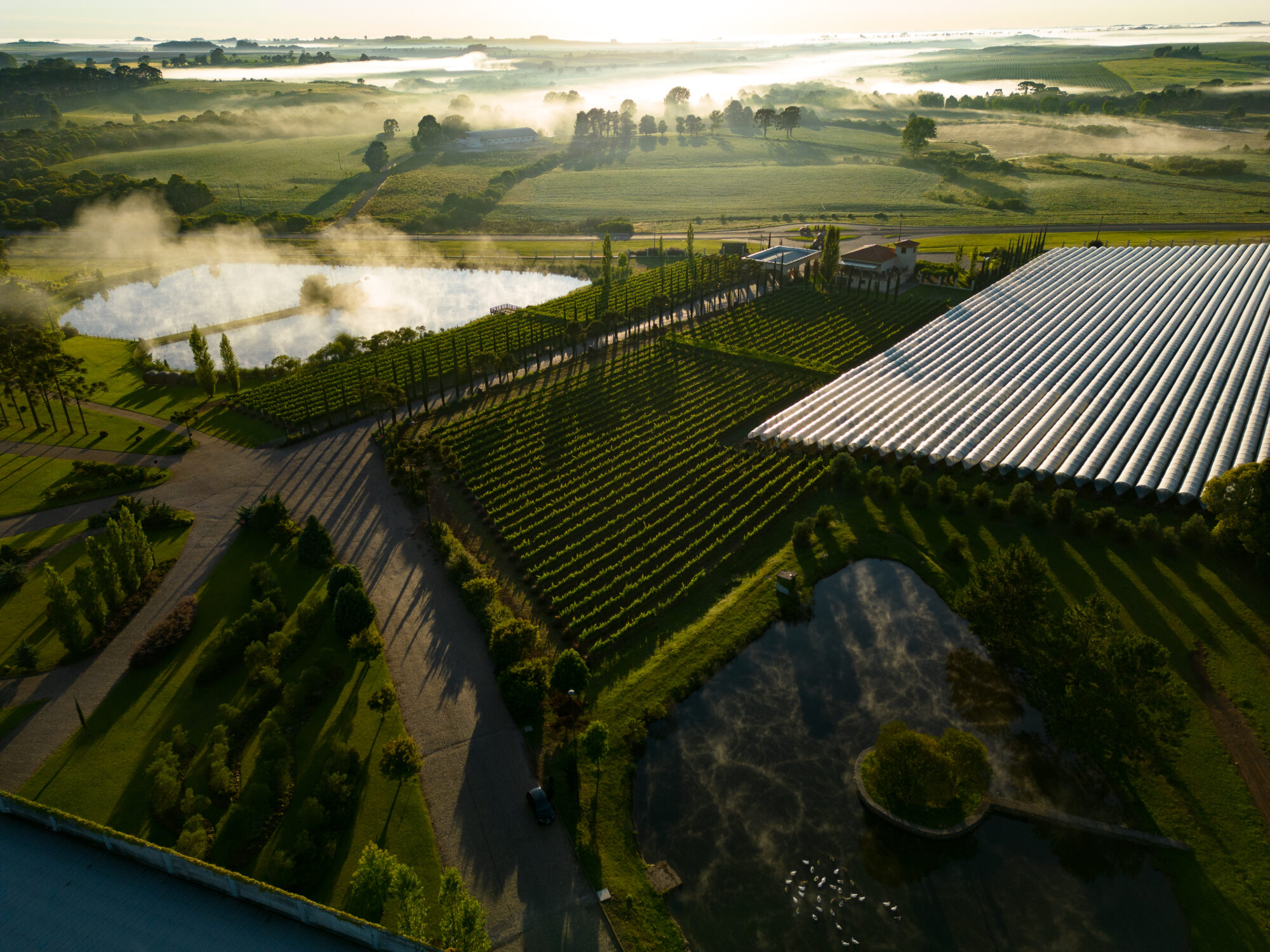 Paulo Santos Fotografia