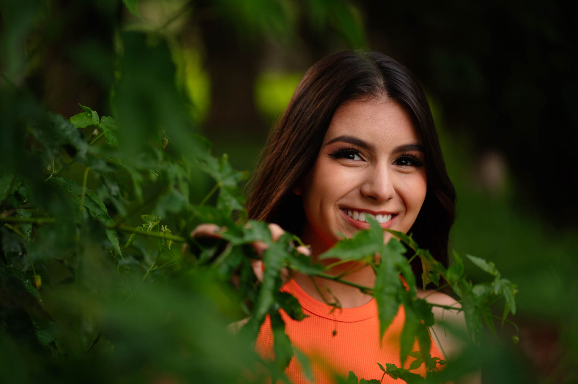 Paulo Santos Fotografia