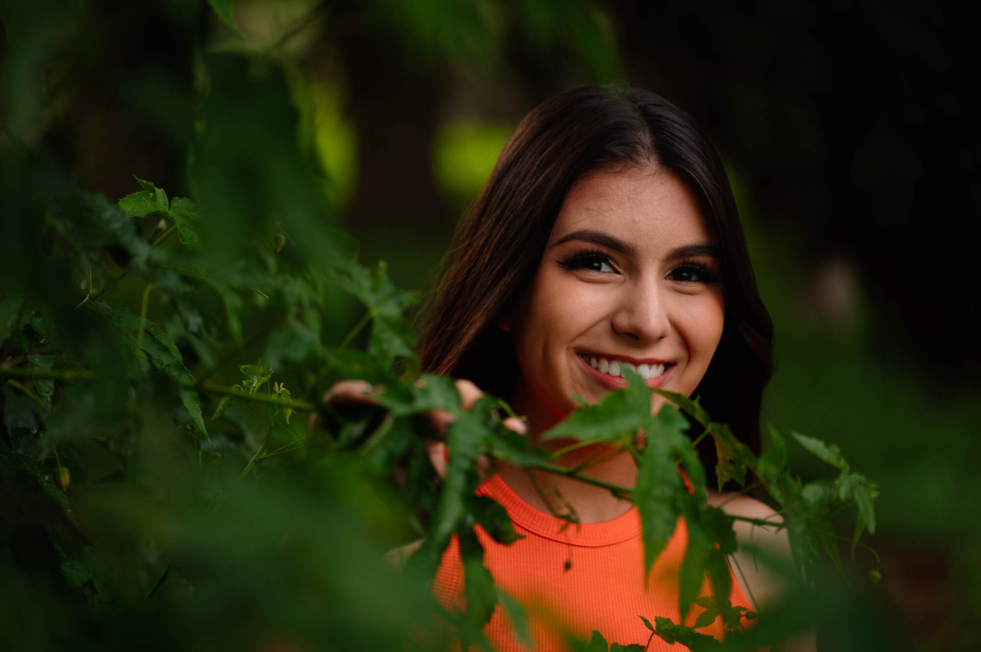 Paulo Santos Fotografia