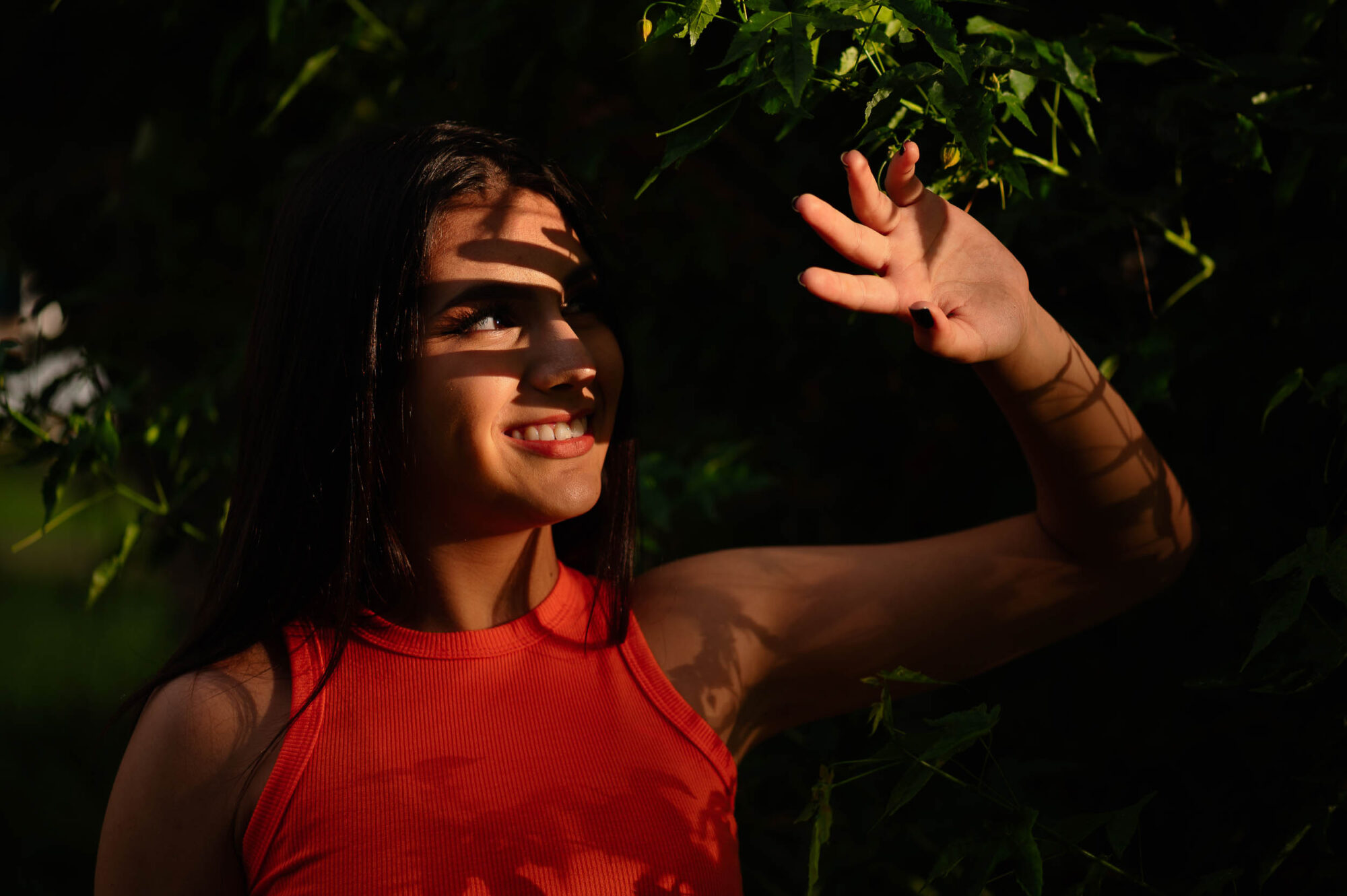 Paulo Santos Fotografia