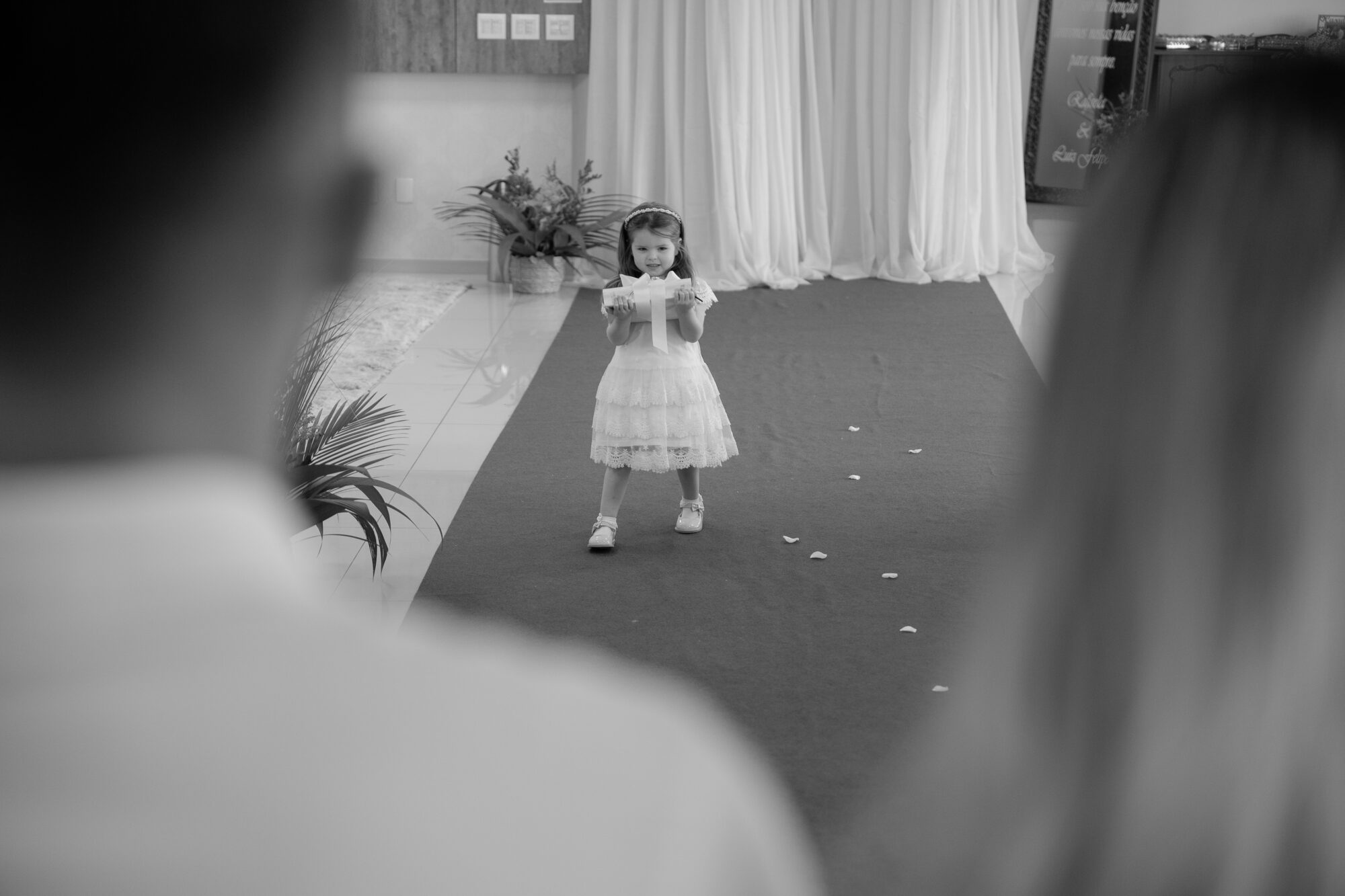 Paulo Santos Fotografia