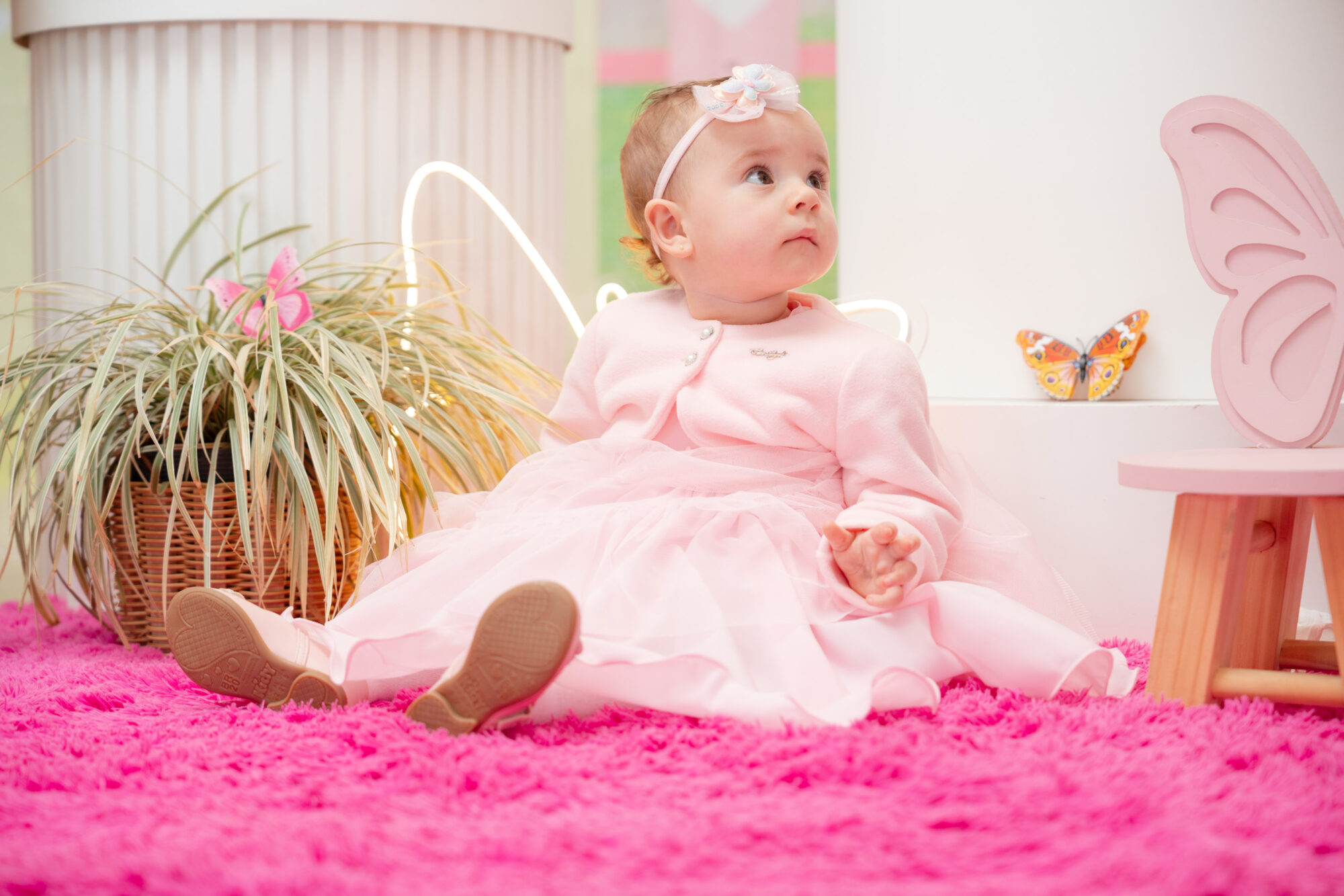 Paulo Santos Fotografia