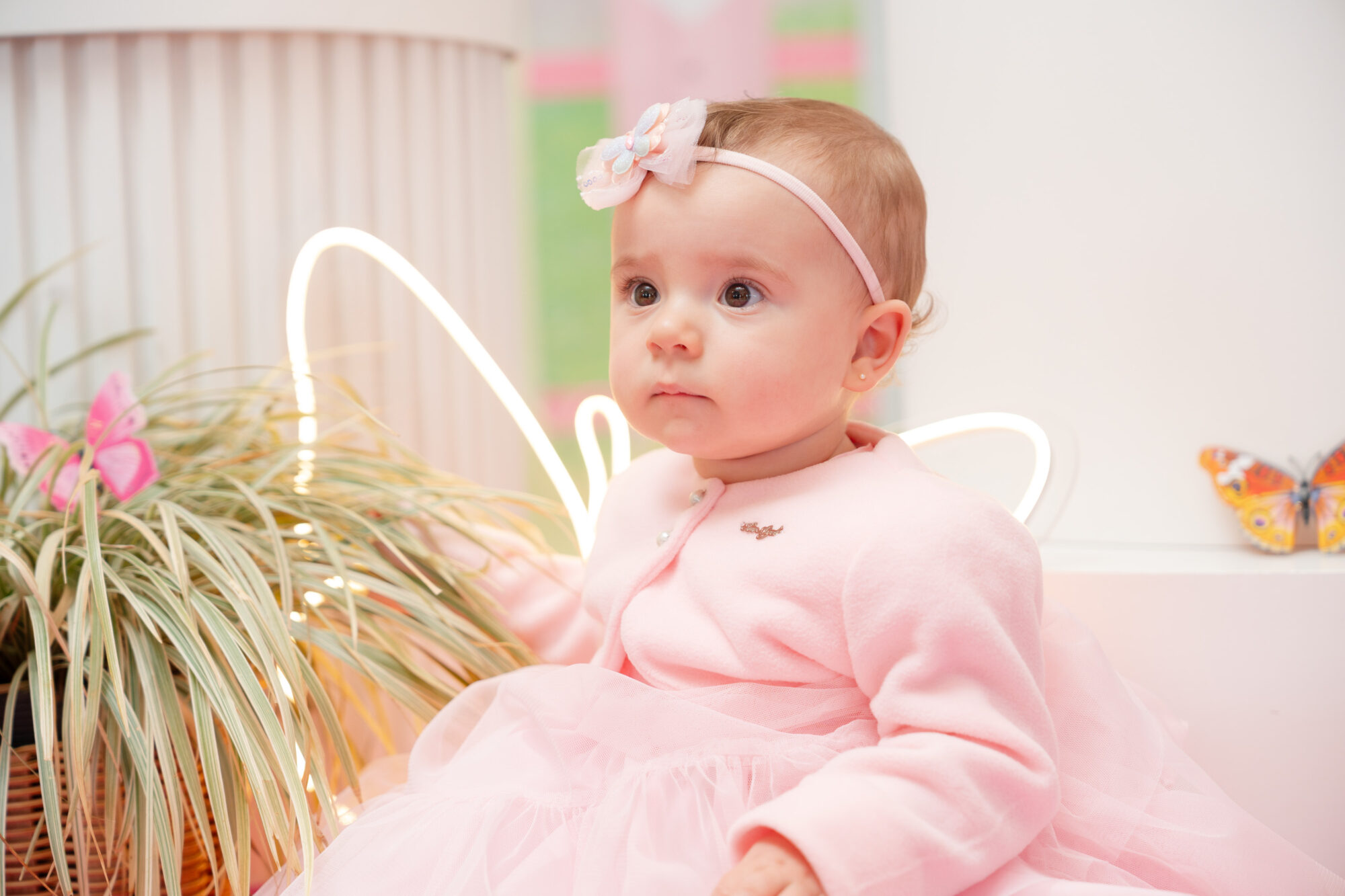 Paulo Santos Fotografia