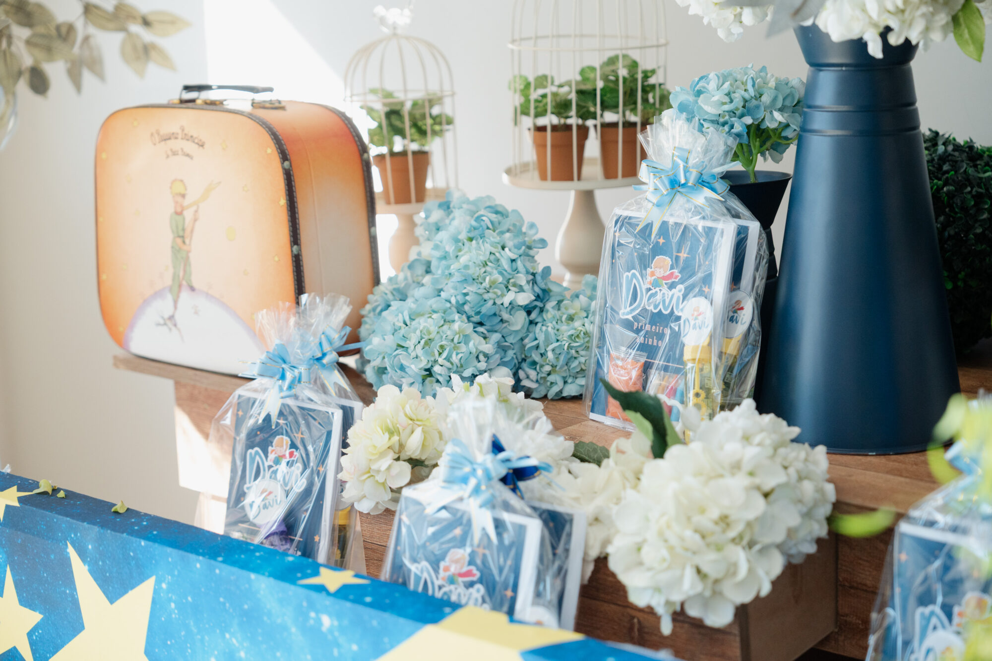 Paulo Santos Fotografia